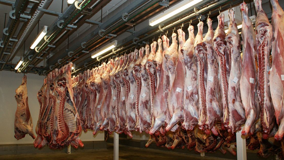 refrigerated container for butchers
