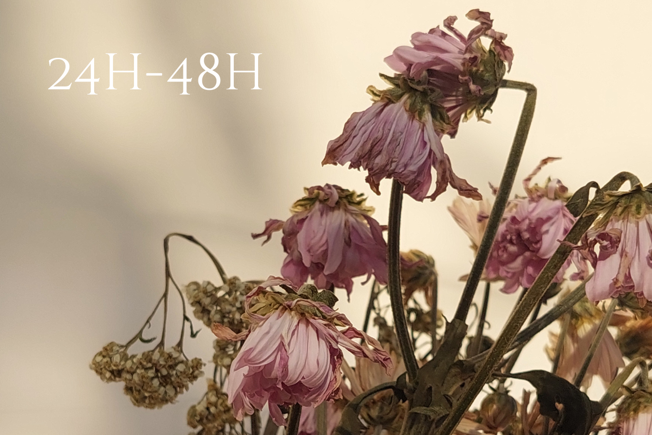 Bundle of dying flowers after they wer left out of the florist cooler